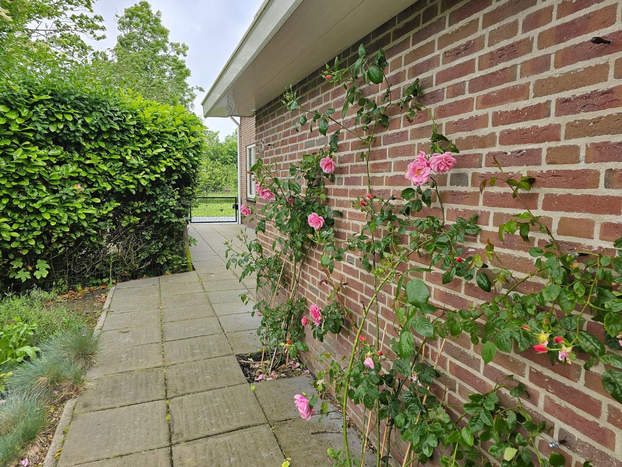 Vakantiehuis Zoutelande Zo05 エクステリア 写真